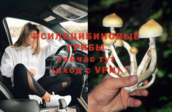 MDMA Белокуриха