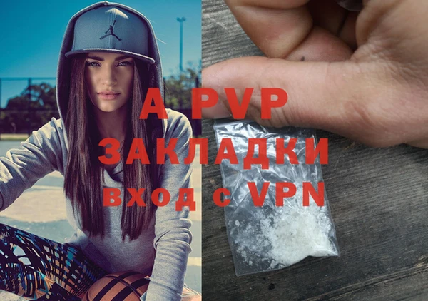 трава Беломорск