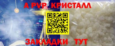 тгк Канаш