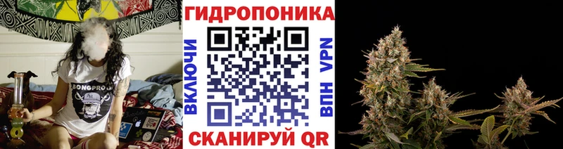 Бошки Шишки VHQ  Кушва 